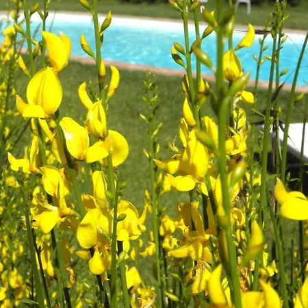 דירה Monte Santa Maria Tiberina Sleeps 6 T764315