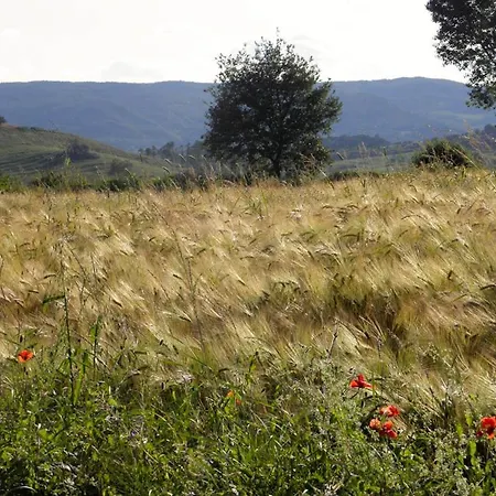 Monte Santa Maria Tiberina Sleeps 6 T764315 *