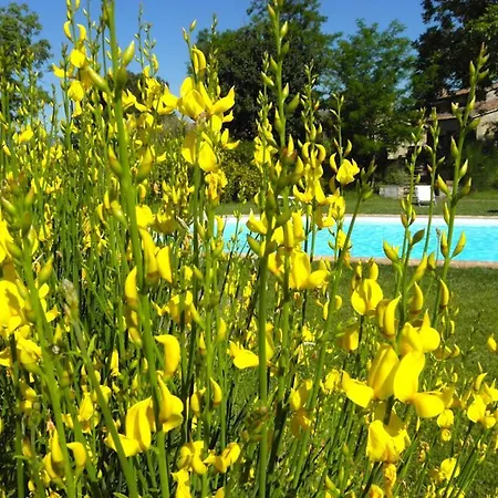 Monte Santa Maria Tiberina Sleeps 6 T764315 * Monteleone dʼOrvieto